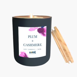 Plum + Cashmere candle